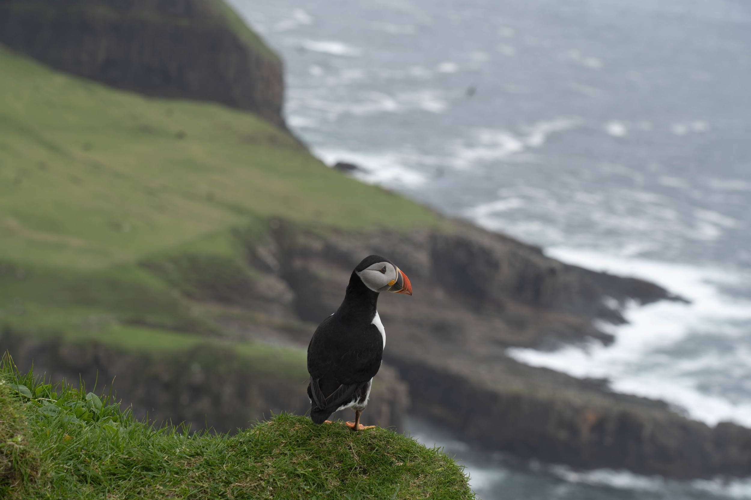 Mykines