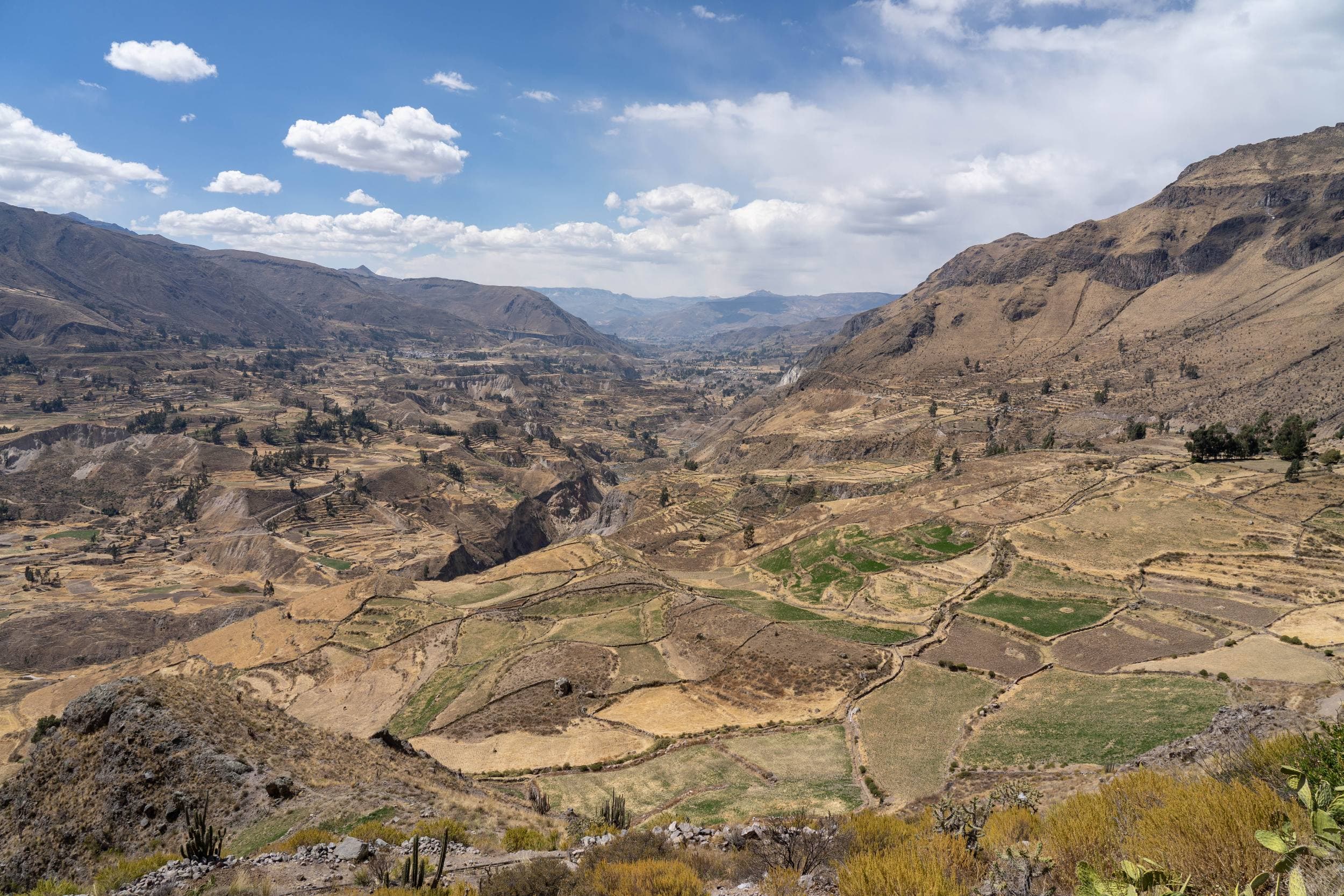 Colca